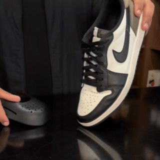 Sneaker Shields
